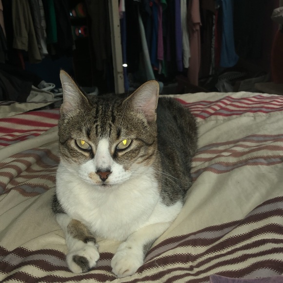 Meet your Posher, Melanie - Picture 3 of 6